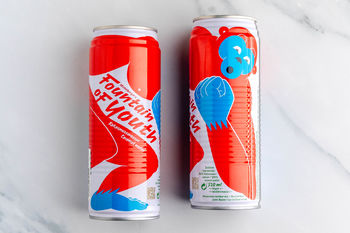 Fountain of Youth Kokoswater (2x520ml)