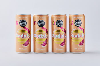 Remedy Grapefruit Sodaly, 4x250mL