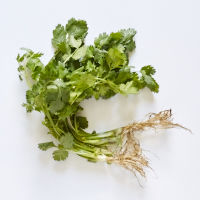 ¼ oz fresh cilantro