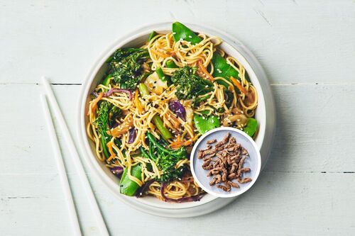 Beef and Veggie Noodles