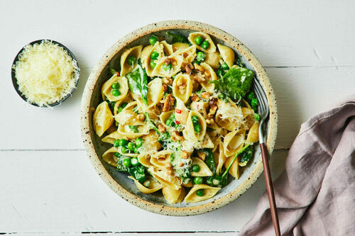 Creamy Lemon Pasta Shells