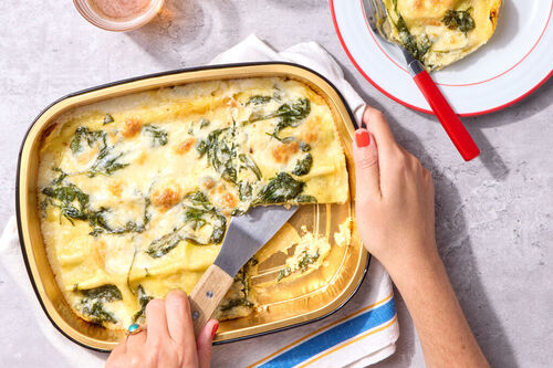 Creamy Alfredo Four Cheese Lasagna