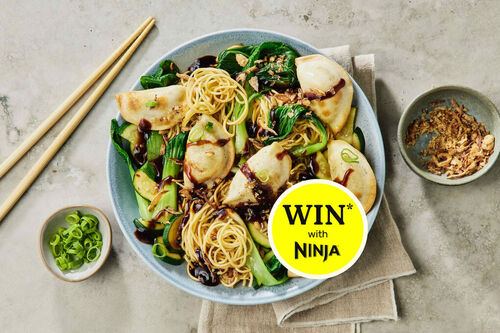 Crispy Pork Dumplings and Noodles